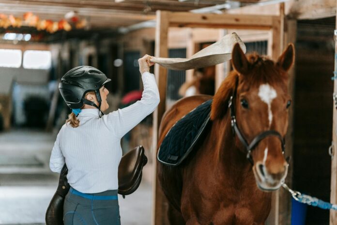 Saddle Pad